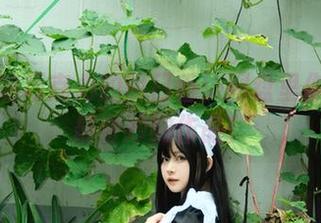 白莉爱吃巧克力的明日香：网盘里你见过的最奇妙的作品！
