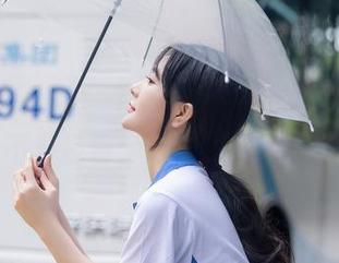 秀人网 – 妲己_Toxic空姐的免费美图，不只是看，更是心灵的旅行
