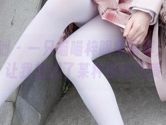 紧急企划 – 一只喵喵梓眼镜写真：这风格，让我想起了某种猫咪气质。